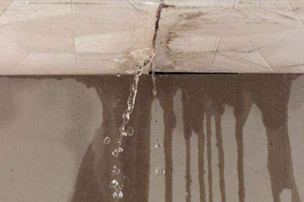 Professional Flood Damage Cleanup technician working in Troy, IL